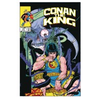 KING CONAN ORIG COMICS OMNIBUS HC VOL 02 REG ED (MR) - Alan Zelenetz, Don Kraar