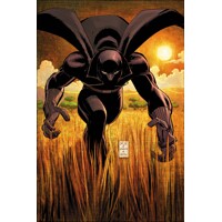 BLACK PANTHER BY REGINALD HUDLIN OMNIBUS HC ROMITA JR CVR - Reginald Hudlin, P...