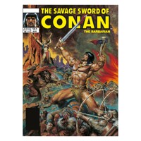 SAVAGE SWORD OF CONAN ORIG OMNIBUS REG GN VOL 11 (MR) - Chuck Dixon, Doug Moen...