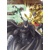 BATMAN & THE JUSTICE LEAGUE MANGA TP VOL 03 - Shiori Teshirogi